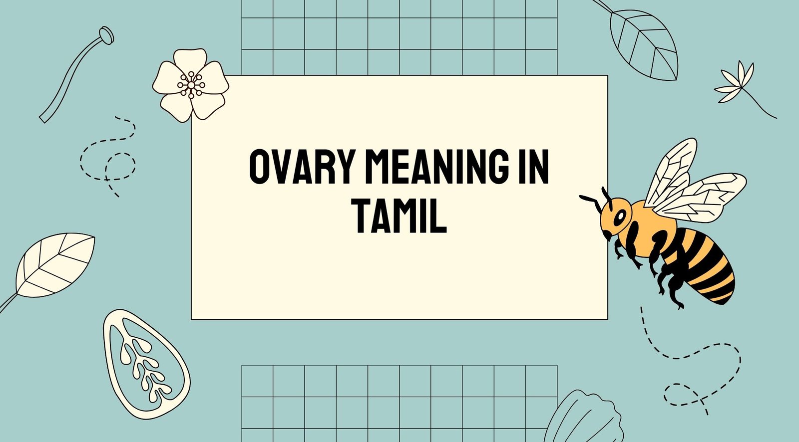 Ovary Meaning in Tamil